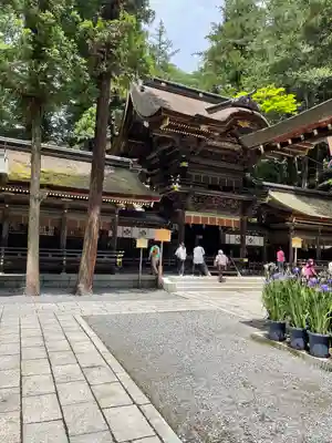 諏訪大社下社春宮の本殿・本堂