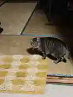 常光寺(長野県)