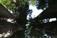 鹿島大神宮の自然