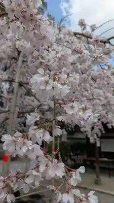 水無瀬神宮(大阪府)