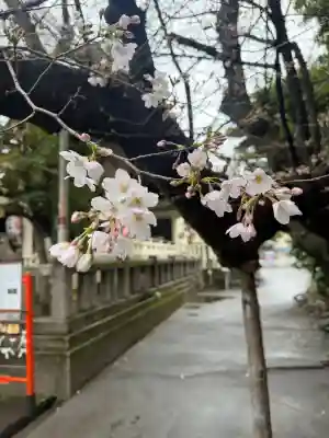 猿江神社の{uncategorized: "未分類", other: "その他", undefined: "問題あり", building: "その他建物", grave: "お墓", sacred_gate: "鳥居", guardian: "狛犬", statue: "像", buddha: "仏像", history: "歴史", nature: "自然", garden: "庭園", animal: "動物", pagoda: "塔", temizu: "手水舎", mountain_gate: "山門・神門", sanctuary: "本殿・本堂", subordinate: "末社・摂社", art: "芸術", scenery: "景色", jizo: "地蔵", ema: "絵馬", goshuin: "御朱印", omikuji: "おみくじ", items: "授与品その他", amulet: "お守り", goshuincho: "御朱印帳", eats: "食事", festival: "お祭り", votive_dance: "神楽", shichigosan: "七五三参", wedding: "結婚式", experience: "体験その他", initially: "初詣", around: "周辺", anti_infection: "感染症対策"}
