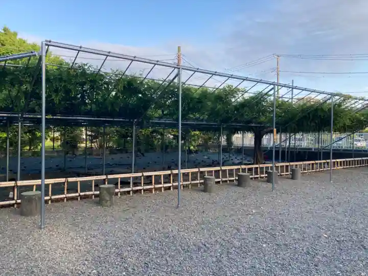 白旗神社(神奈川県)