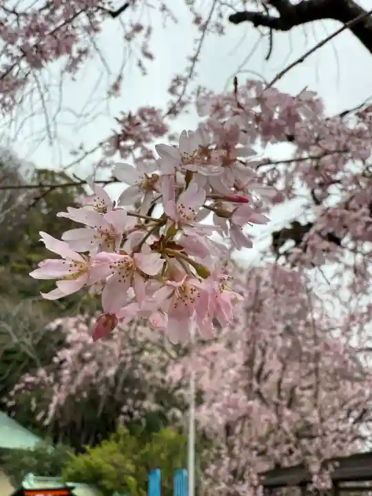 根岸八幡神社(神奈川県)