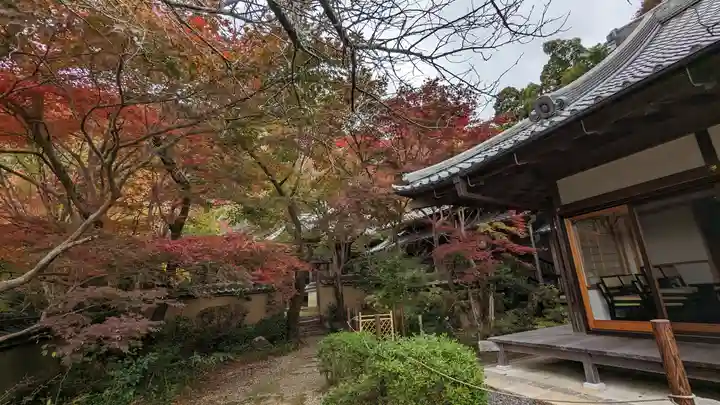 勝持寺(花の寺)(京都府)