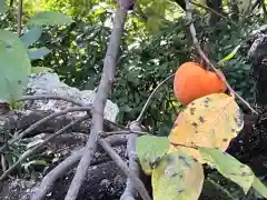 伊勢の国 四天王寺の自然