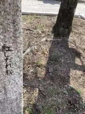 長蔵寺(岐阜県)