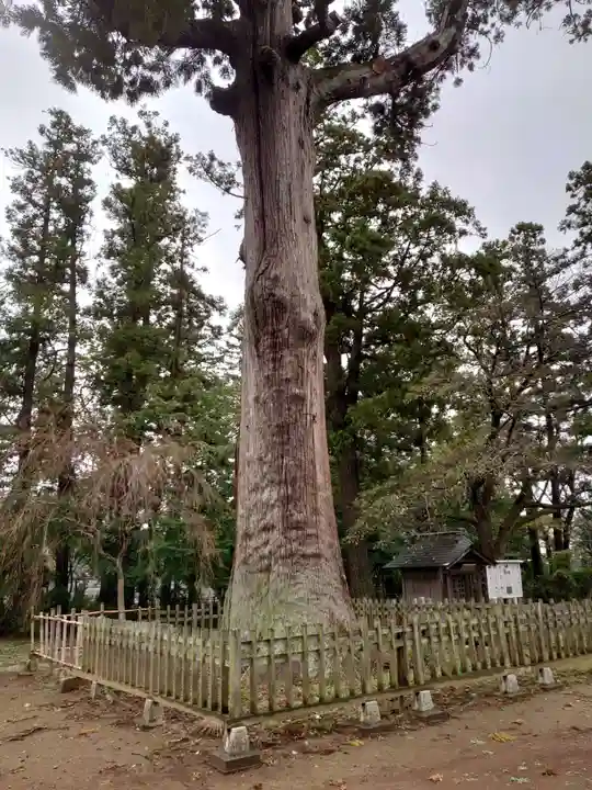 弘経寺のその他建物
