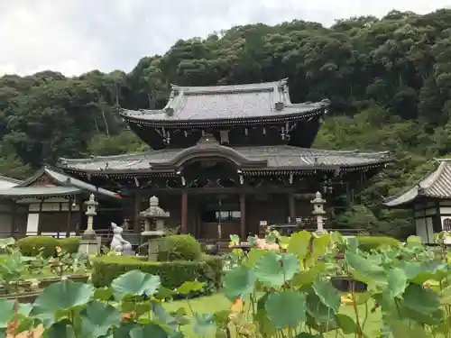 三室戸寺の本殿・本堂
