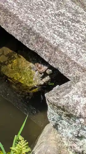 宝蔵寺(京都府)