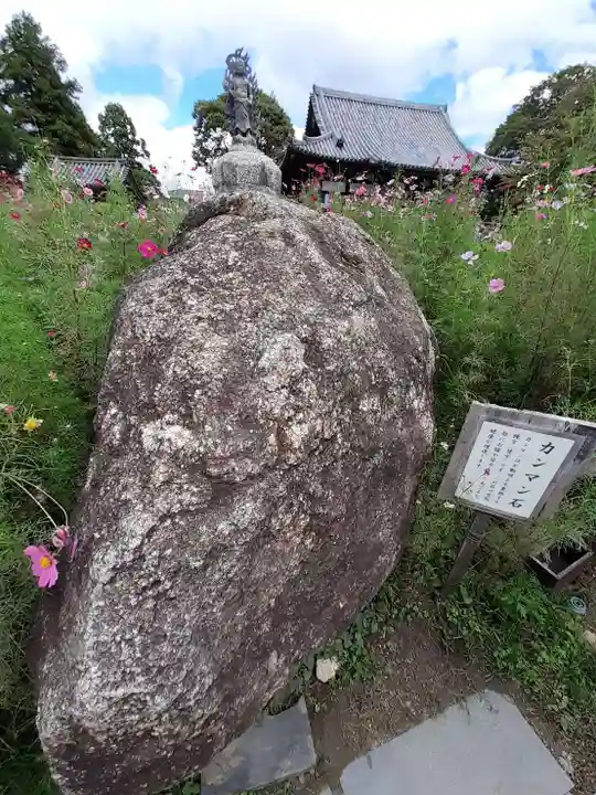 般若寺 ❁コスモス寺❁(奈良県)