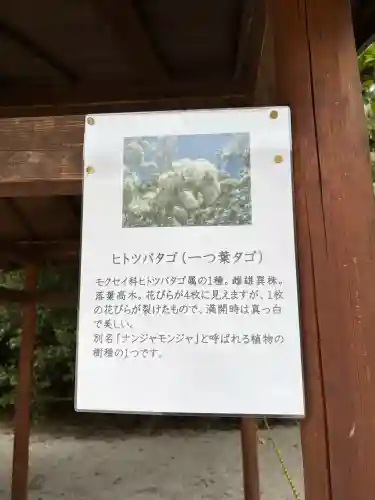 賀茂別雷神社（上賀茂神社）の{uncategorized: "未分類", other: "その他", undefined: "問題あり", building: "その他建物", grave: "お墓", sacred_gate: "鳥居", guardian: "狛犬", statue: "像", buddha: "仏像", history: "歴史", nature: "自然", garden: "庭園", animal: "動物", pagoda: "塔", temizu: "手水舎", mountain_gate: "山門・神門", sanctuary: "本殿・本堂", subordinate: "末社・摂社", art: "芸術", scenery: "景色", jizo: "地蔵", ema: "絵馬", goshuin: "御朱印", omikuji: "おみくじ", items: "授与品その他", amulet: "お守り", goshuincho: "御朱印帳", eats: "食事", festival: "お祭り", votive_dance: "神楽", shichigosan: "七五三参", wedding: "結婚式", experience: "体験その他", initially: "初詣", around: "周辺", anti_infection: "感染症対策"}