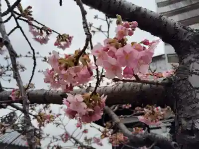 是字寺龍海院の自然