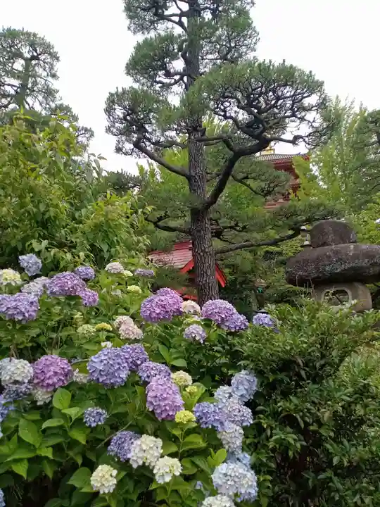 高幡不動尊 金剛寺(東京都)