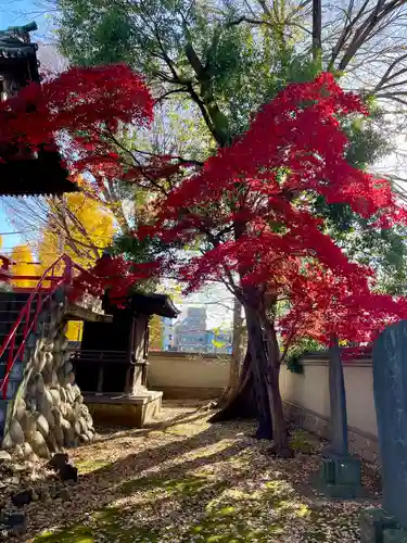 愛染院(東京都)