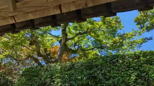 法蔵禅寺(京都府)