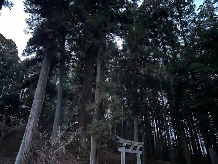 大宮温泉神社(栃木県)