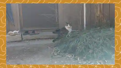佐野赤城神社(栃木県)