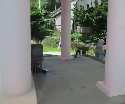 屋久島大社の動物