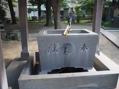 若宮八幡宮 の手水舎