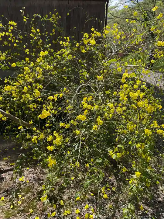 天台宗 五大山 白毫寺(兵庫県)