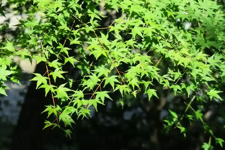 大門寺(大阪府)