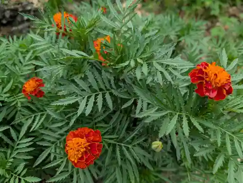 豊景神社(福島県)