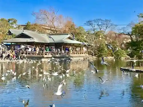 鶴岡八幡宮の庭園