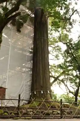 須佐神社(島根県)