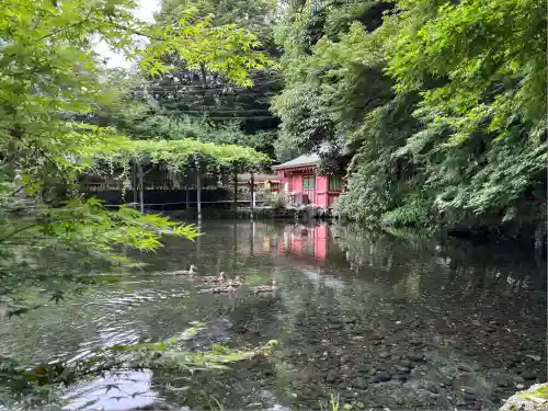 富士山本宮浅間大社(静岡県)