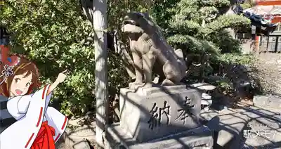 千葉神社の狛犬