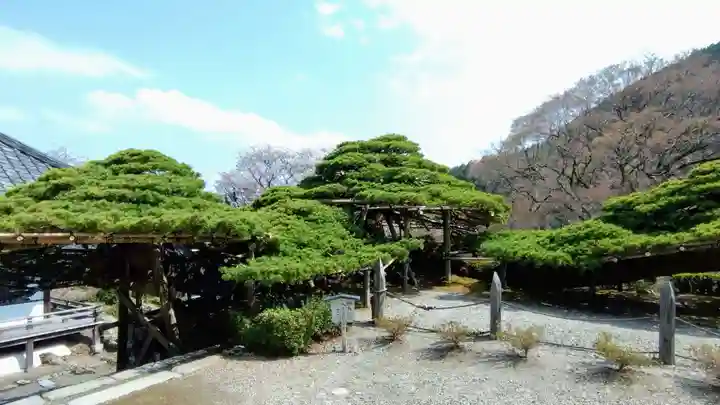 善峯寺(京都府)