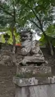 金櫻神社の狛犬