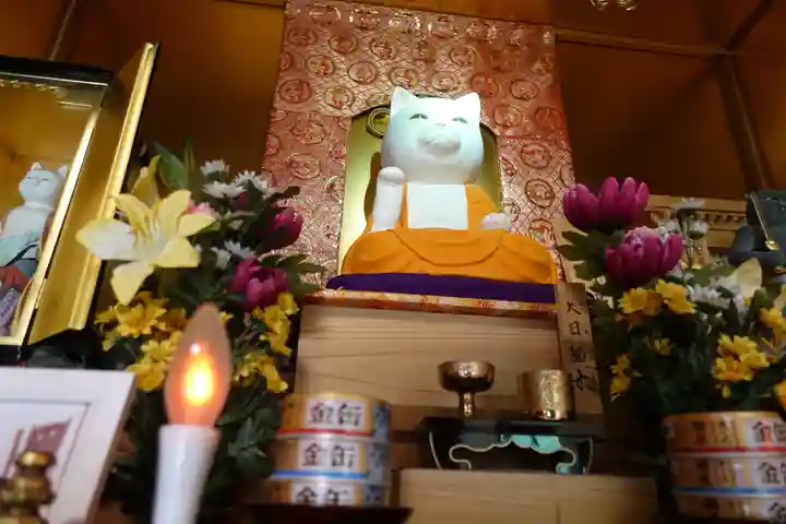 猫猫寺の本殿・本堂