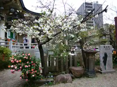 難波八阪神社(大阪府)