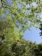 山口大神宮の自然