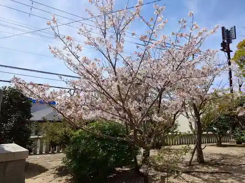 舞子六神社／まいこむの宮(兵庫県)