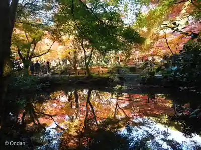 圓光寺(京都府)