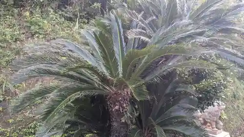 諏訪神社の自然