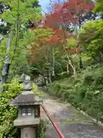 このみ白雲大社(岡山県)