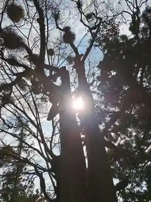 比々多神社元宮(神奈川県)