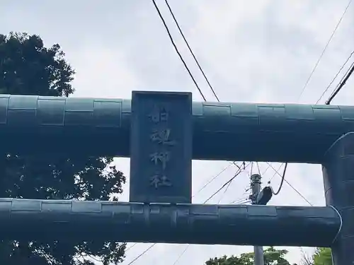 船魂神社の鳥居