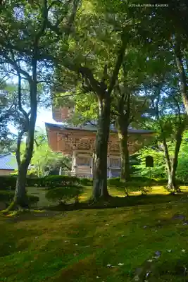 妙成寺(石川県)