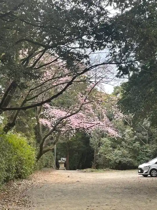 筑紫神社(福岡県)