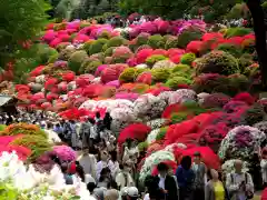 根津神社の庭園