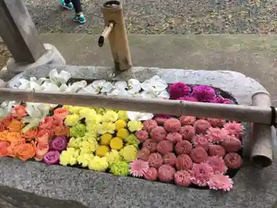 札幌伏見稲荷神社の手水舎