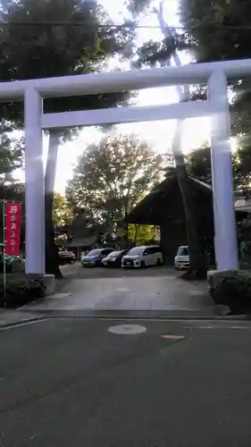 所澤神明社の鳥居