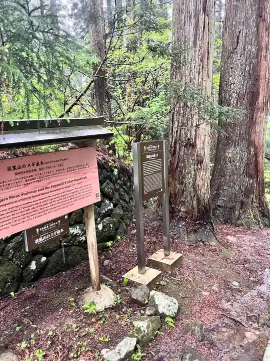 羽黒山五重塔(出羽三山神社)(山形県)