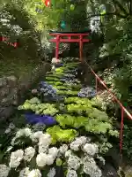 柳谷観音 楊谷寺(京都府)