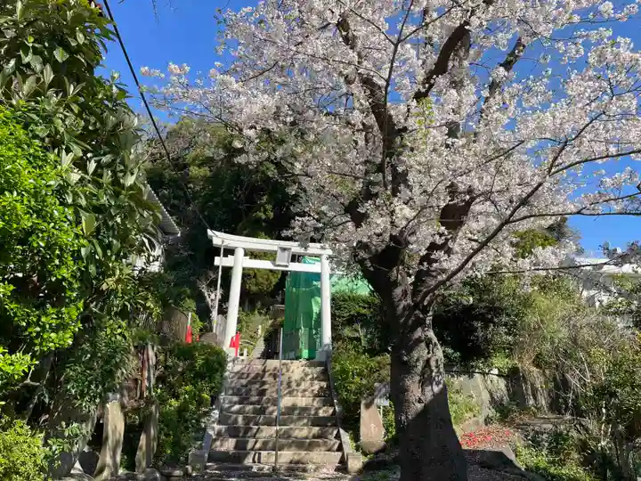 熊野神社(杉田・中原)(神奈川県)