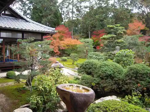 龍吟庵（竜吟庵）の庭園